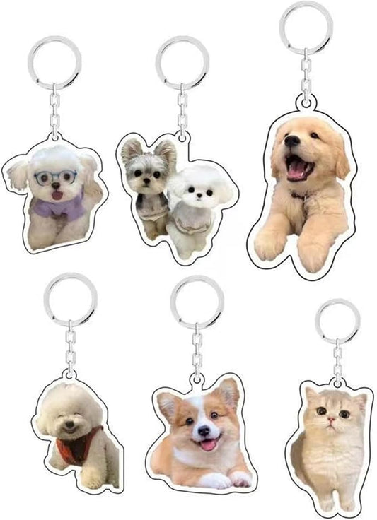 Personalized photos, acrylic keychains for dogs and cats, customized keychains, backpacks, pendants, gifts