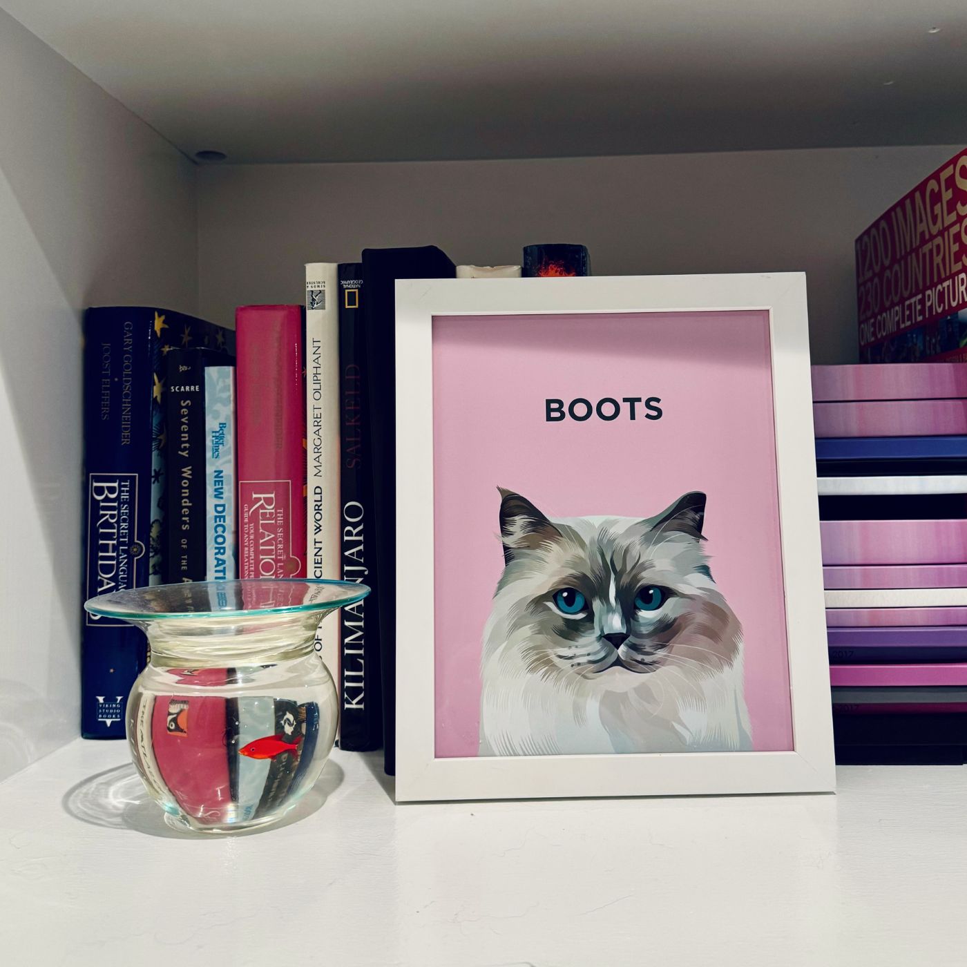 Custom Pet Portrait (Framed)